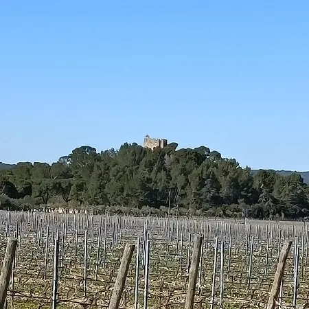 Serge Le Belge - Sejour Authentique A Corbieres Pansiyon Lézignan-Corbières