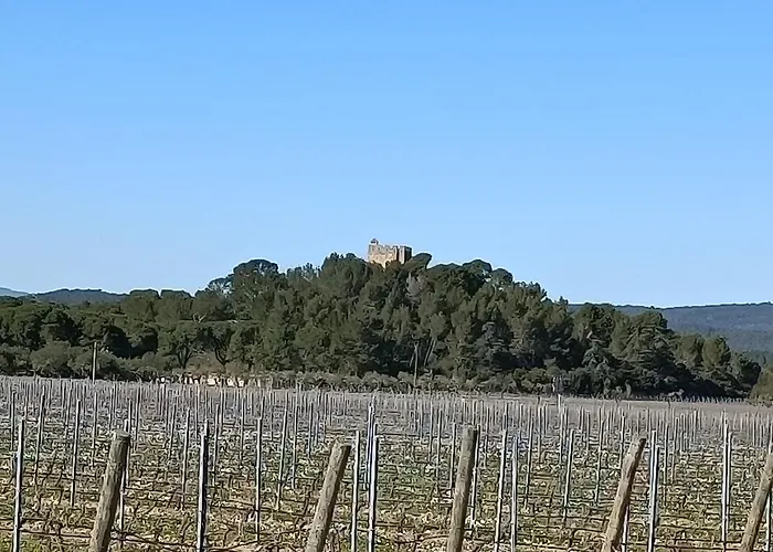 Serge Le Belge - Sejour Authentique A Corbieres Accommodatie bij particulieren Lézignan-Corbières