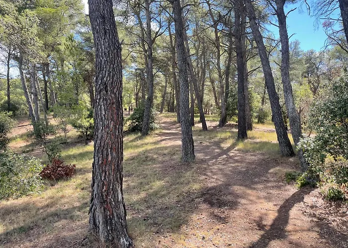 Accommodatie bij particulieren Serge Le Belge - Sejour Authentique A Corbieres Lézignan-Corbières